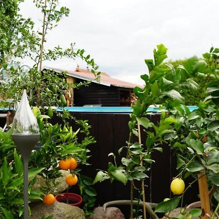 Pension Limone Ferienwohnung 1 Neu Lindenberg Esterno foto