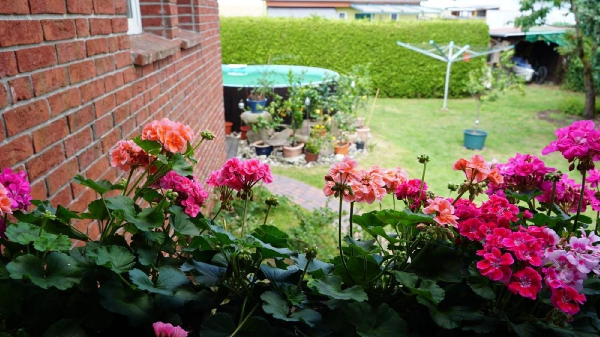 Pension Limone Ferienwohnung 1 Neu Lindenberg Esterno foto